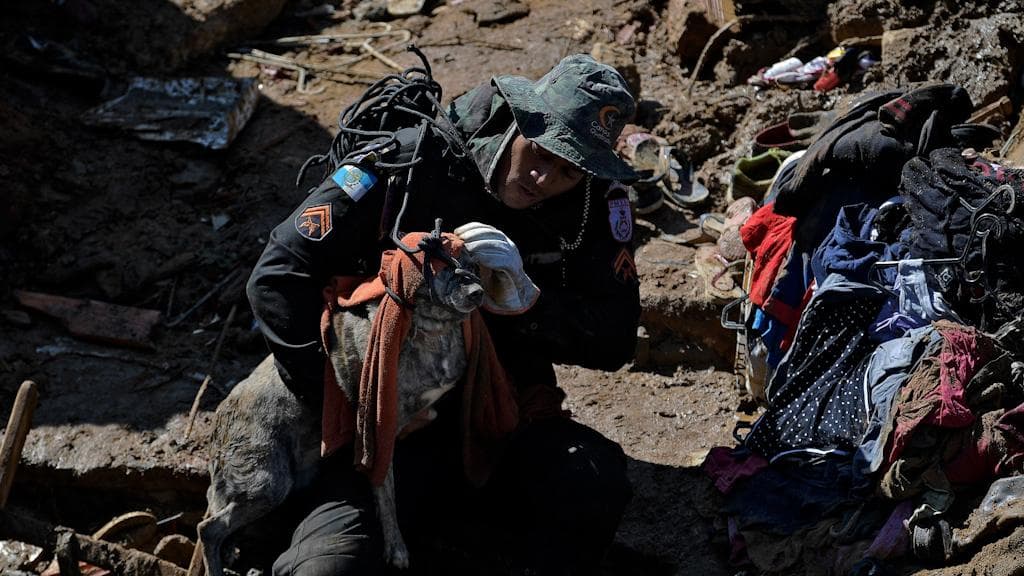 Brazil: ব্রাজিলে ভয়াবহ দুর্যোগ, কাদার স্রোতে ভেসে মৃত শতাধিক