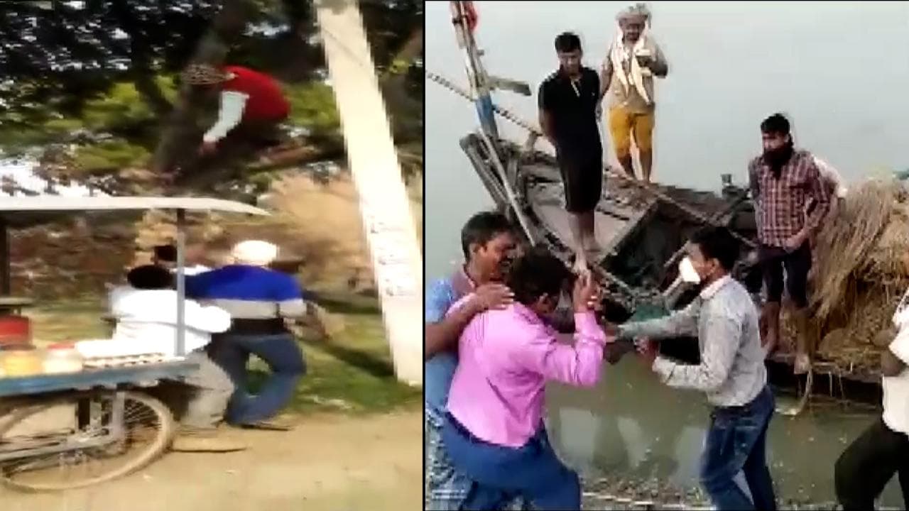 Viral Video: Man climbs tree to avoid Covid vaccine, another assaults officials. Don't be like them