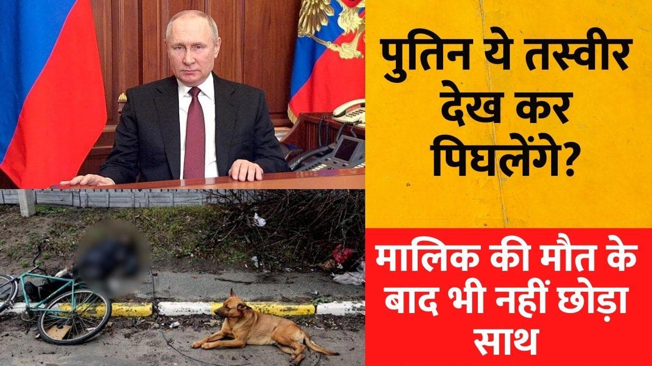 Russia Ukraine War: मौत के बाद भी नहीं छोड़ा मालिक का साथ, कीव में दिखी कुत्ते की वफादारी