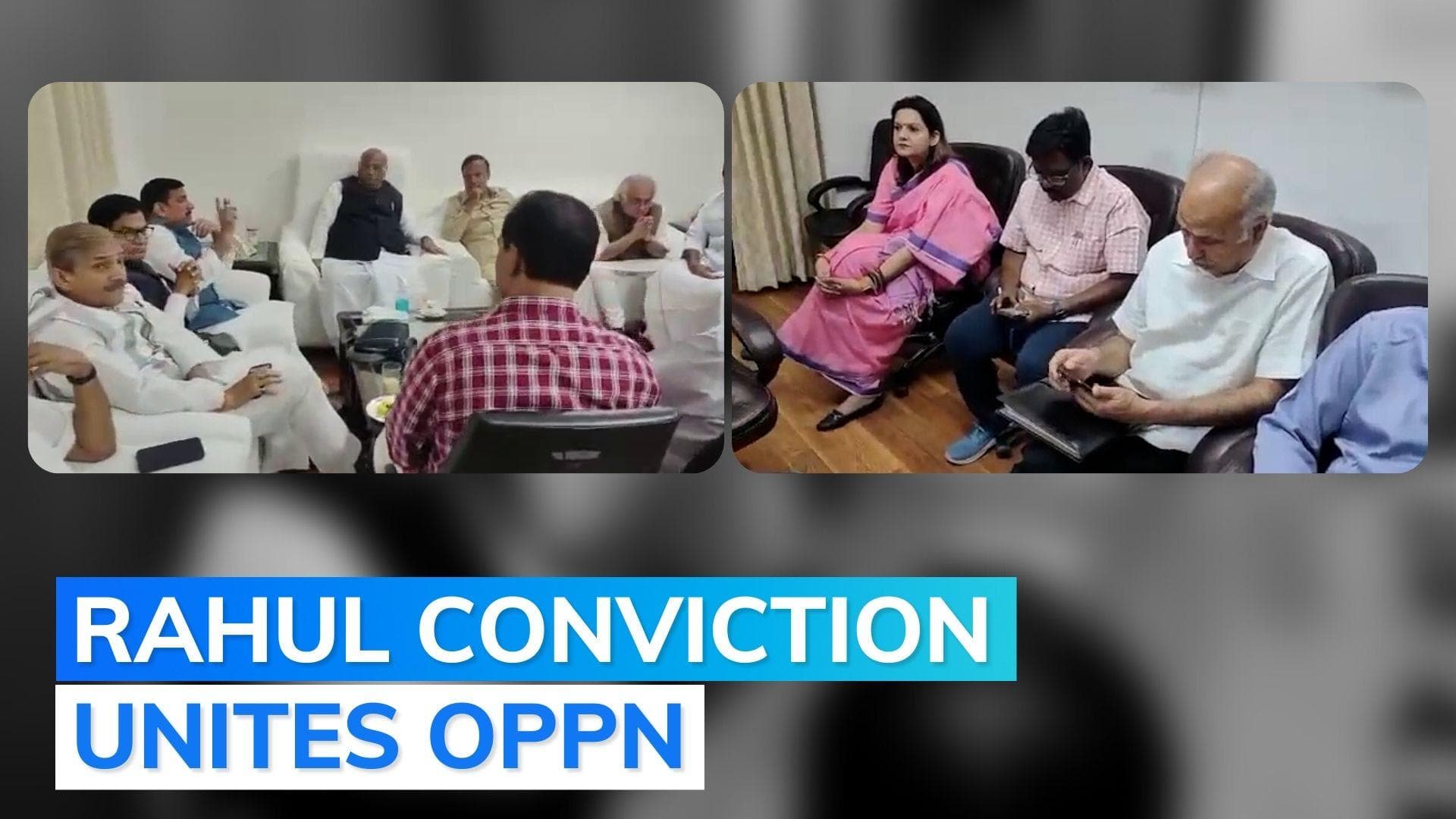 Congress rallies to gather Opposition support after Rahul Gandhi's defamation conviction