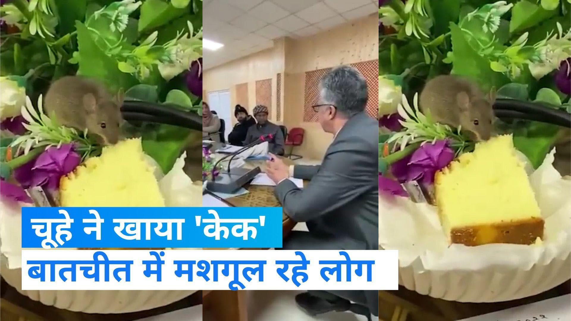 Viral video: मीटिंग में  मशगूल थे लोग, चूहे ने आकर खाया केक , वायरल हुआ वीडियो  