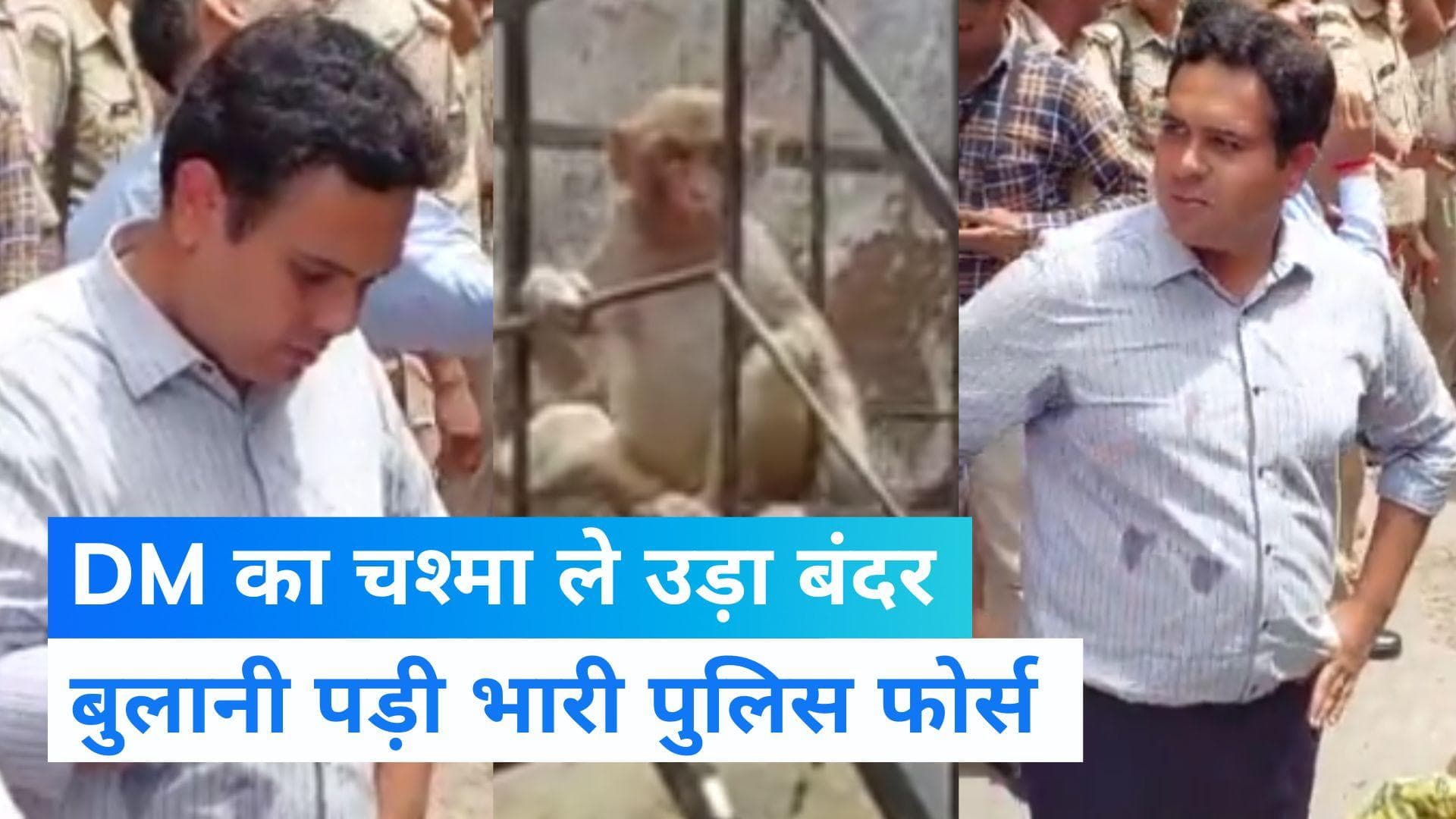 Viral Video: मथुरा के वृंदावन में DM साहब का चश्मा ले उड़ा बंदर, 2 फ्रूटी की डील में मान गया