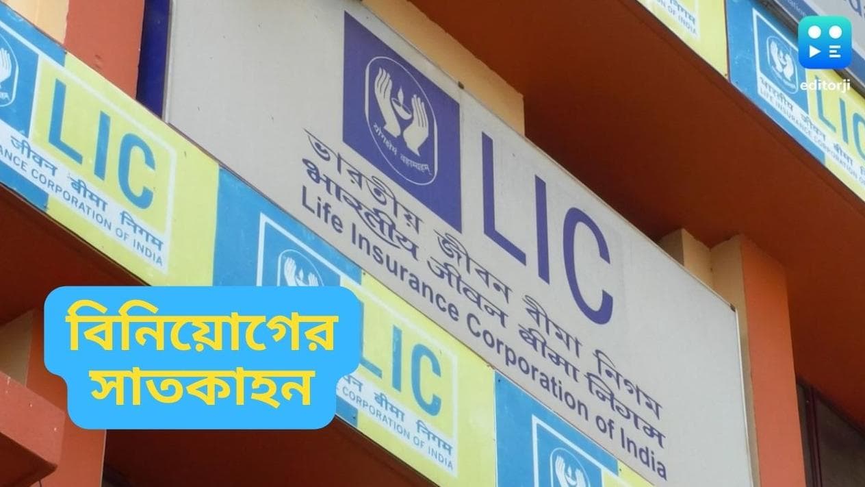 LIC IPO: জেনে নিন, কীভাবে দেখবেন এলআইসি আইপিও'তে বিনিয়োগকারীদের বর্তমান স্টেটাস