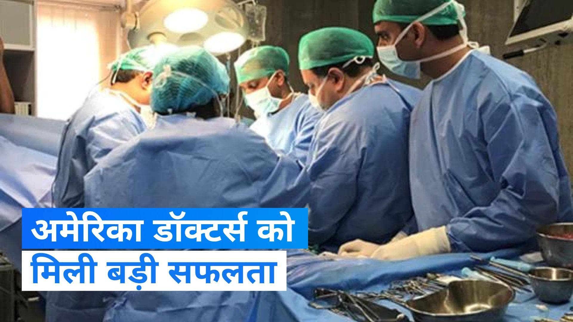 Kidney Transplant : इंसान में लगाई सूअर की किडनी, जानिए कहां का है मामला ?