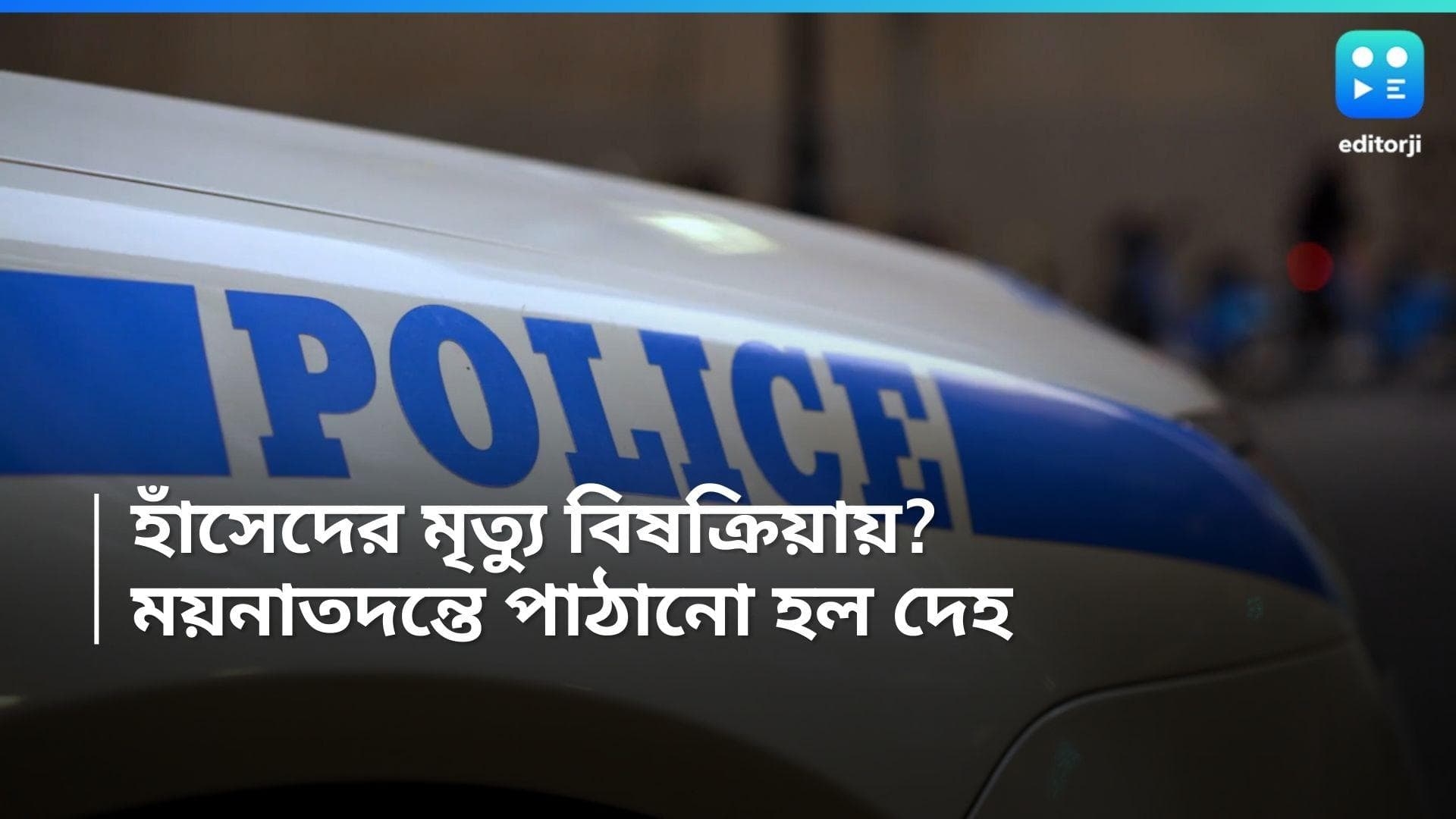Hooghly News: পোষা হাঁসদের বিষপ্রয়োগে হত্যার অভিযোগ, শেষ দেখে ছাড়তে চান চুঁচুড়ার তিথি