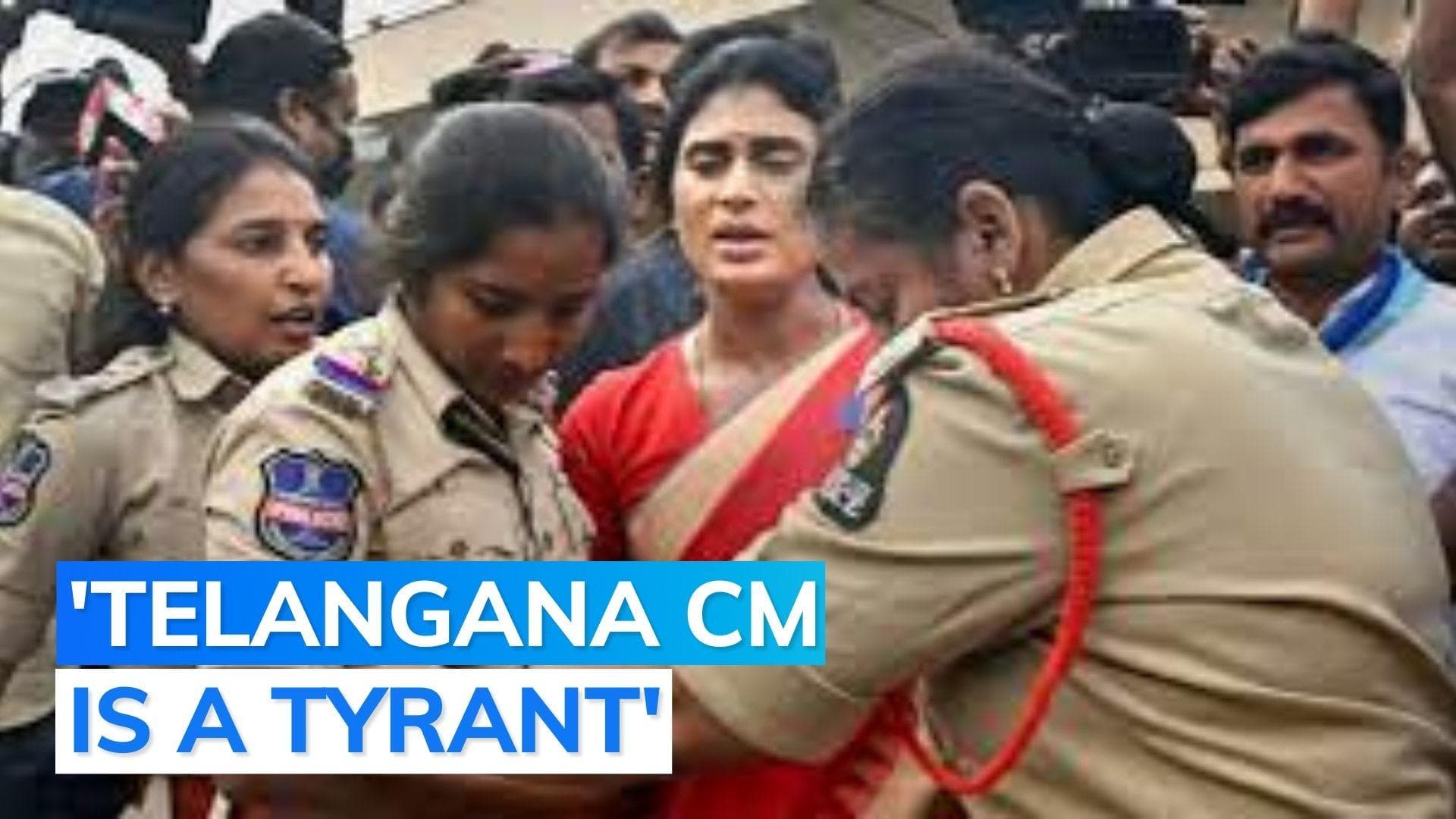 'Telangana is the Afghanistan of India and KCR is....': YSRTP chief YS Sharmila sparks row