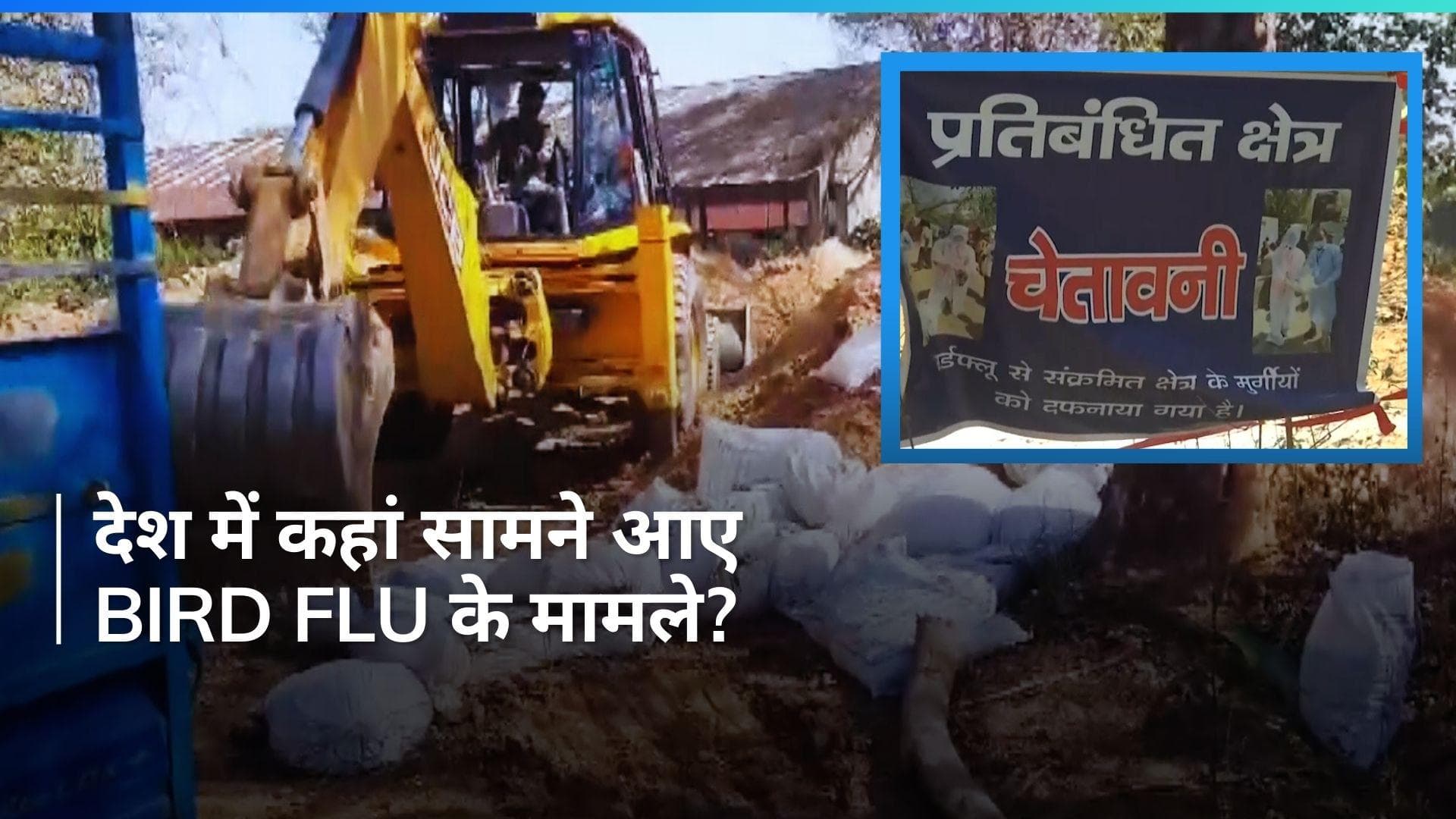 Bird Flu: सावधान हो जाएं अंडा-चिकन खाने वाले, यहां मिले बर्ड फ्लू के मामले...हजारों पक्षियों की मौत 