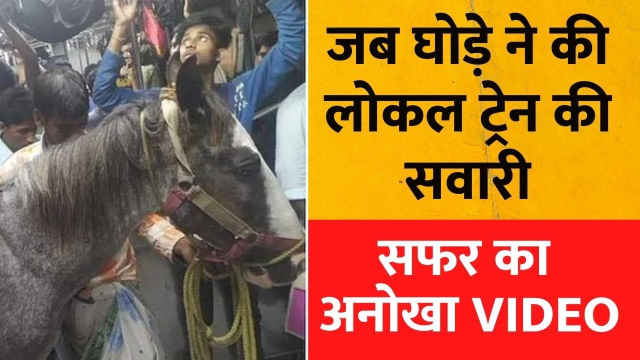 Horse in Local Train: लोकल ट्रेन में घोड़े ने की यात्रा, तस्वीर देख लोग हो गए हैरान