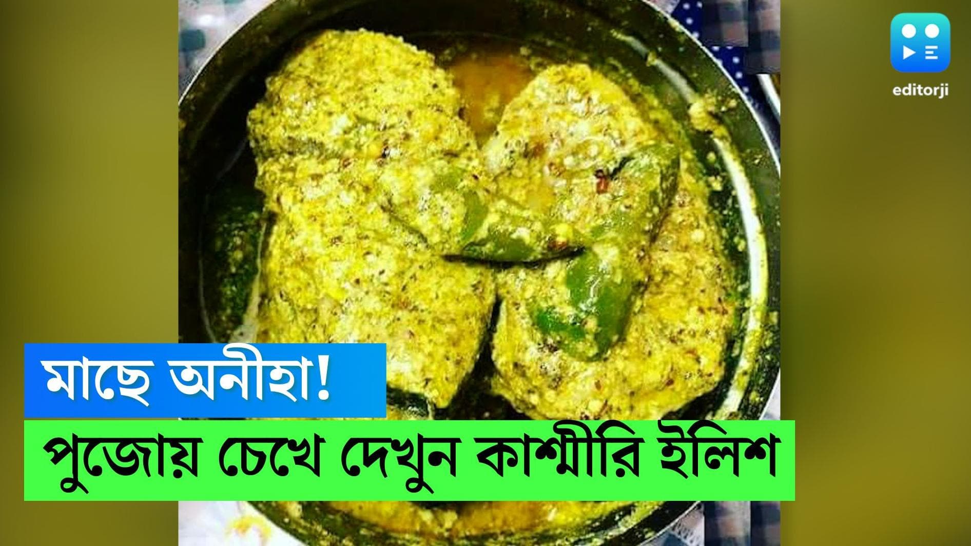 Durga Puja Recipe: পুজোয় বাইরে খেতে একঘেয়ে লাগছে? বাড়িতে বানিয়ে ফেলুন কাশ্মীরি ইলিশ, জানুন রেসিপি