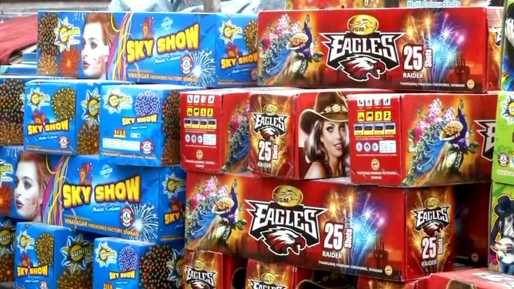 Kali Puja: কালীপুজোয় বাজিতে নিষেধাজ্ঞা চেয়ে মামলার আবেদনে অনুমতি আদালতের