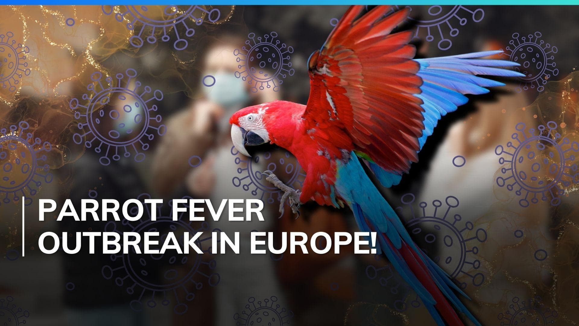 Parrot fever kills 5 in Europe after outbreak: WHO