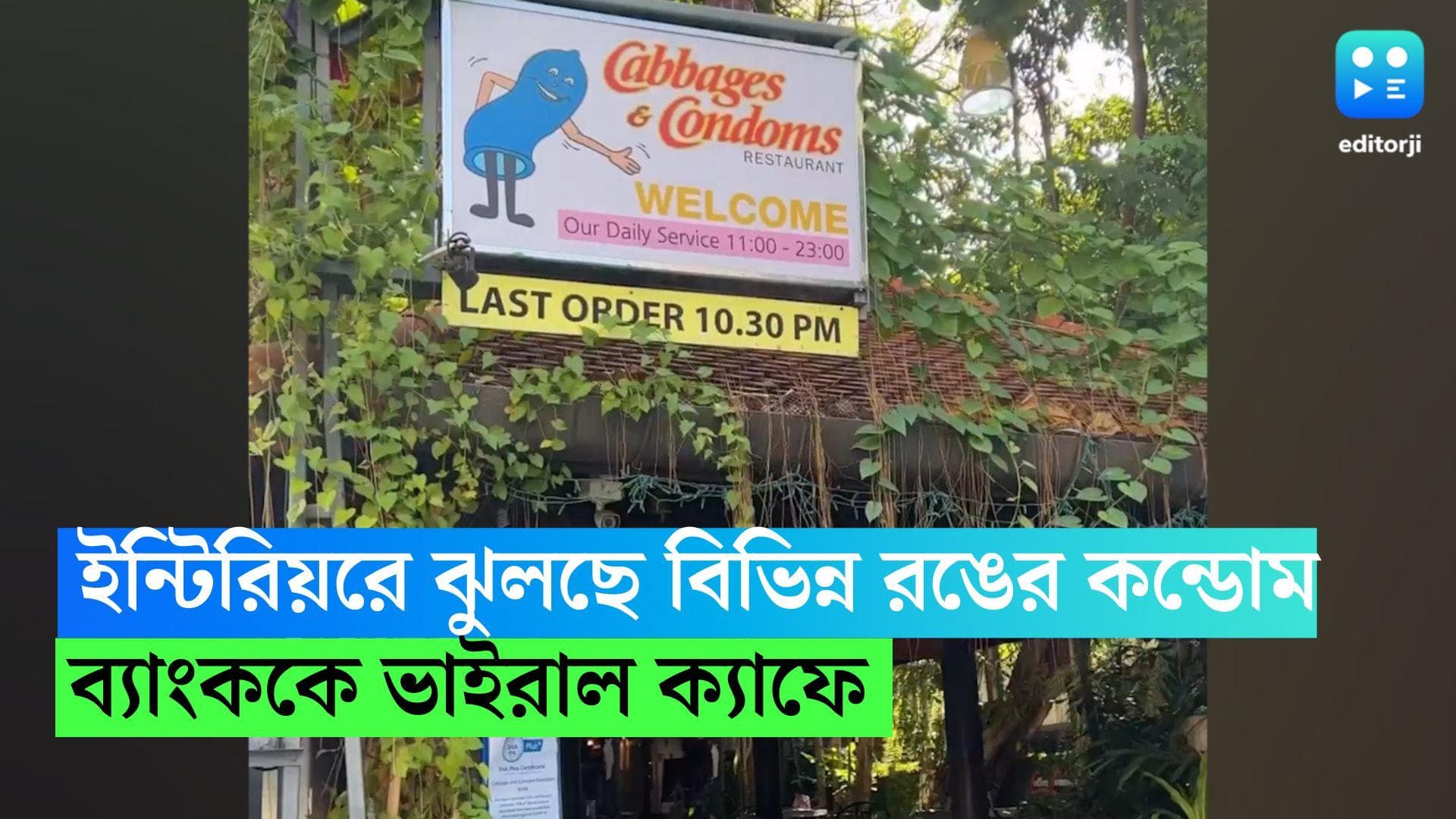 Condoms cafe in Bangkok: ইন্টিরিয়রে ঝুলছে বিভিন্ন রঙের কন্ডোম, ব্যাঙ্ককের ক্যাফে দেখে উচ্ছ্বসিত নেটিজেনরা
