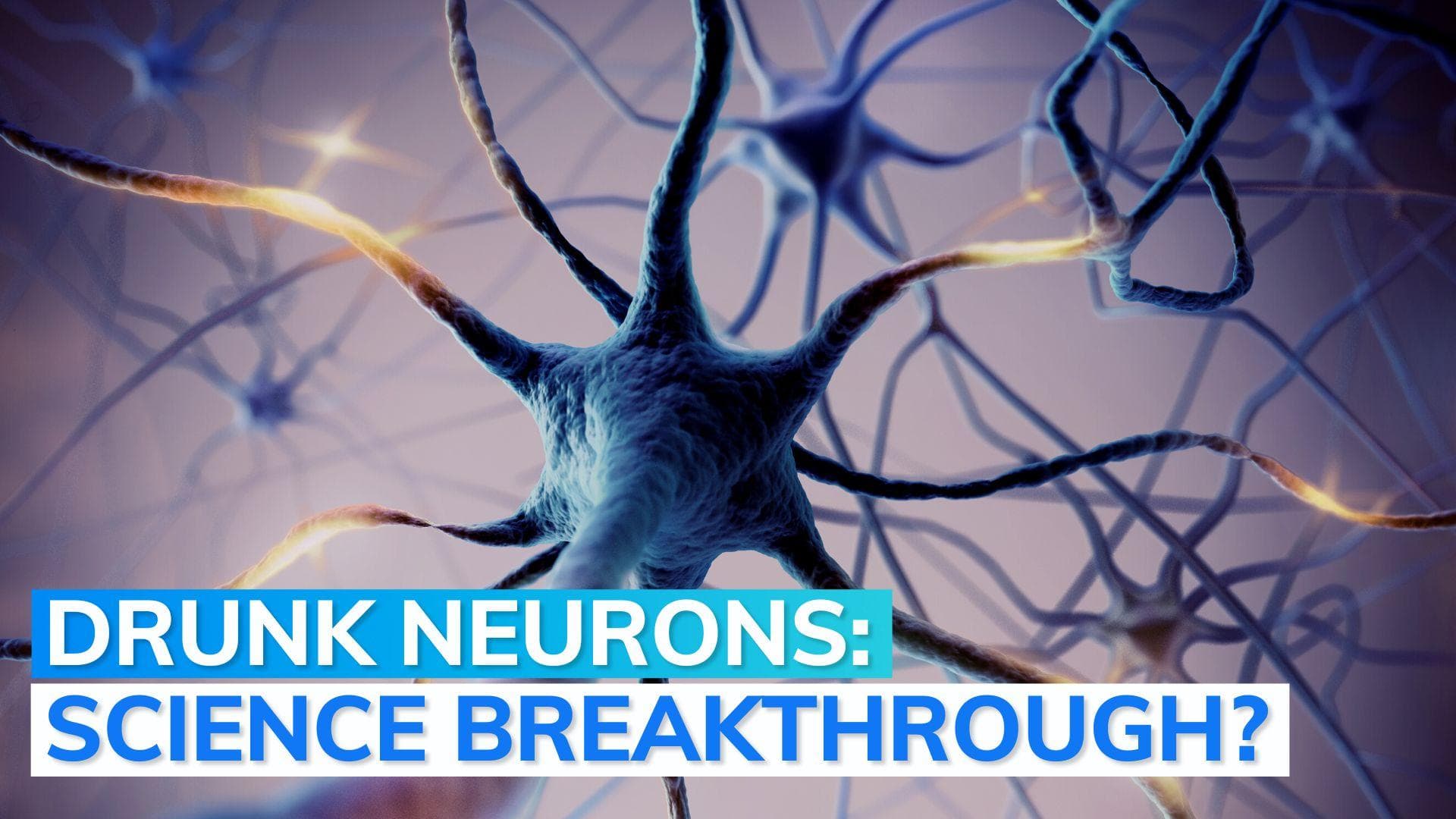 Here's how scientists taught 'brain cells' to play a video game
