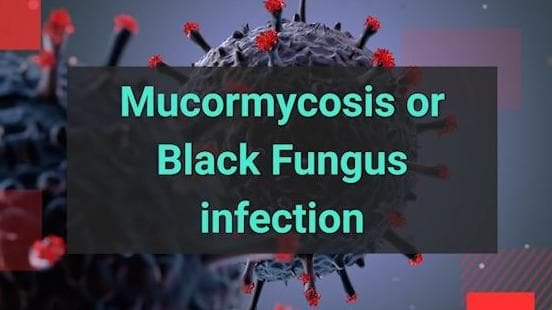 editorji Covid guide | What is Black Fungus infection and how to prevent it?
