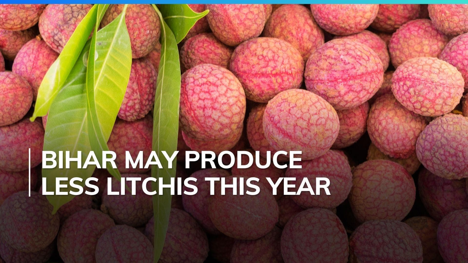 Harsh summer likely to hit litchi production by as much as 50%: Report
