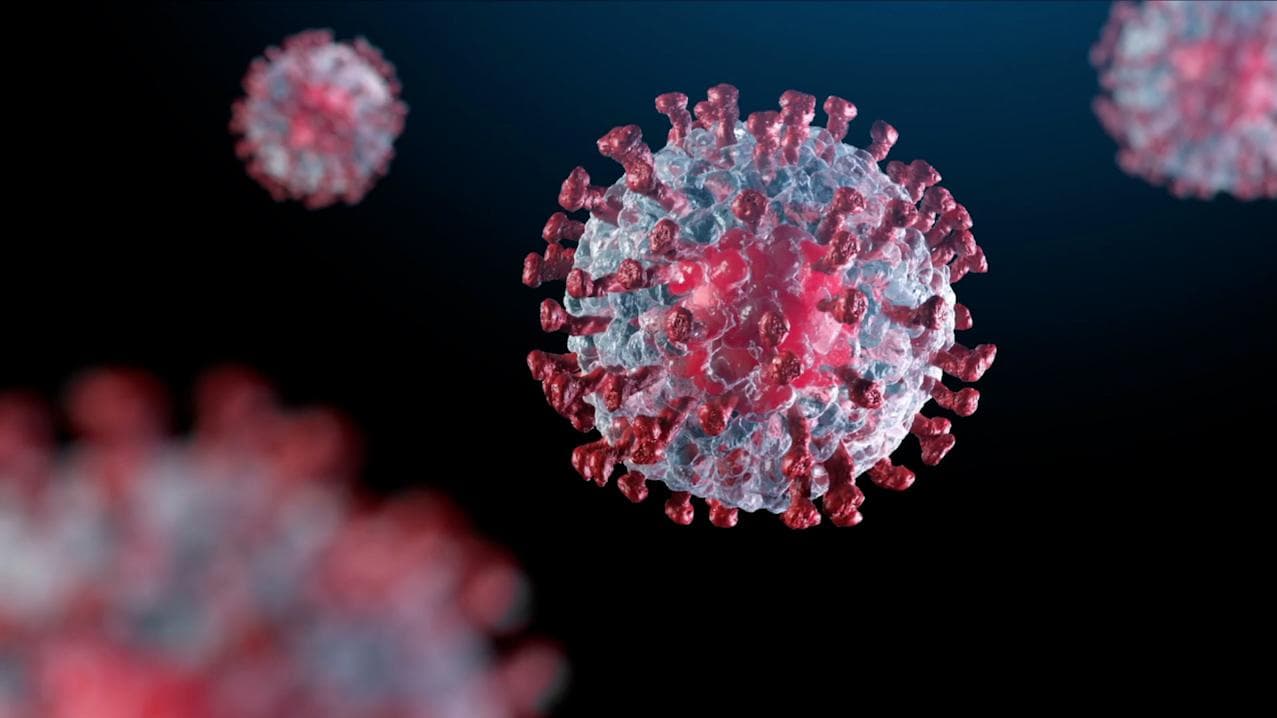 Explained: What is Stealth Omicron and can it escape RT-PCR Covid-19 test? 