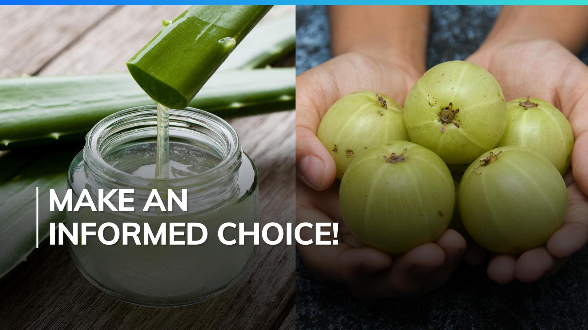 Amla vs aloe vera: Which is best for hairfall prevention, shiny hair?