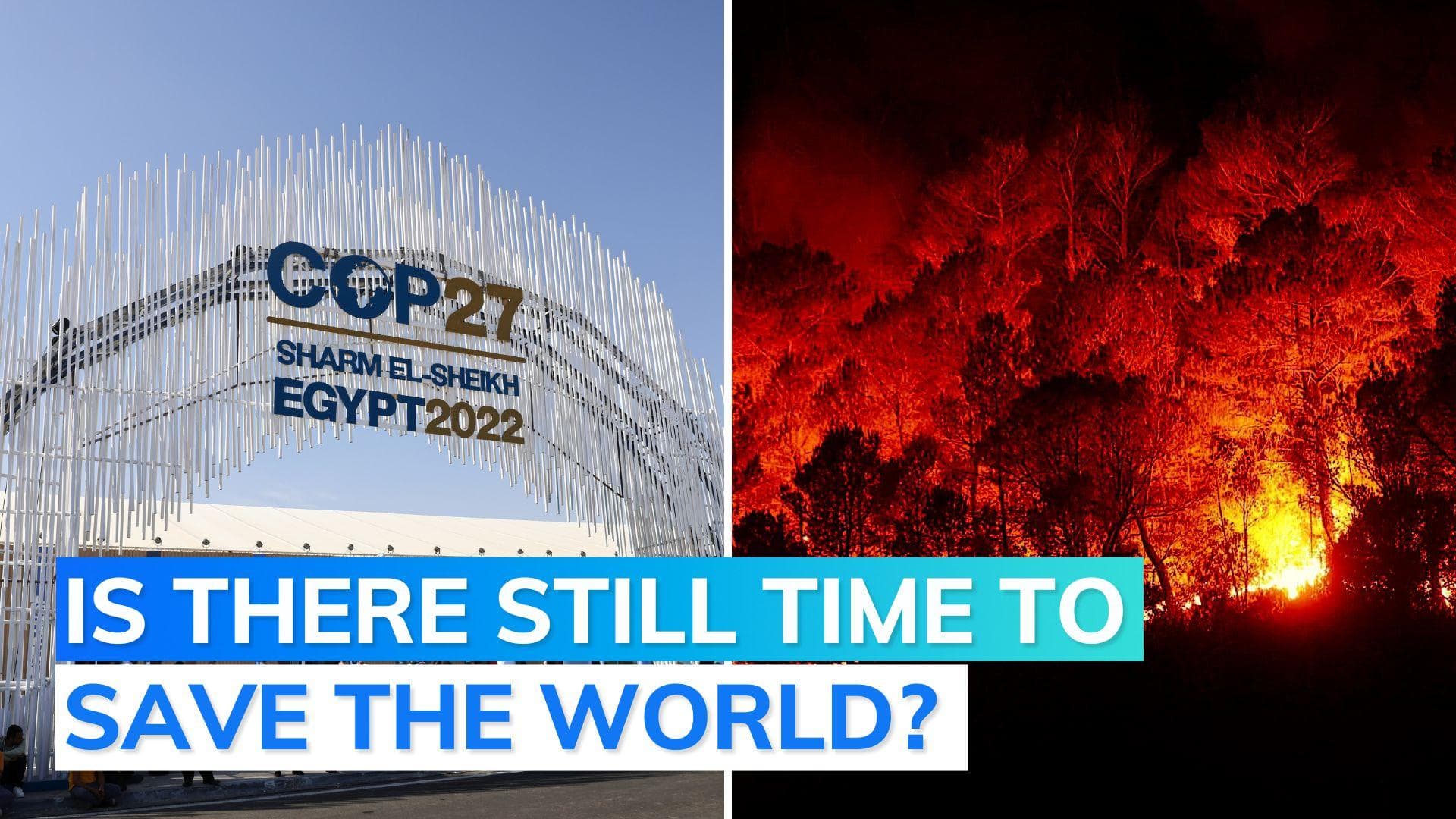 Decoded: World leaders converge at COP27 as time runs out to save the world