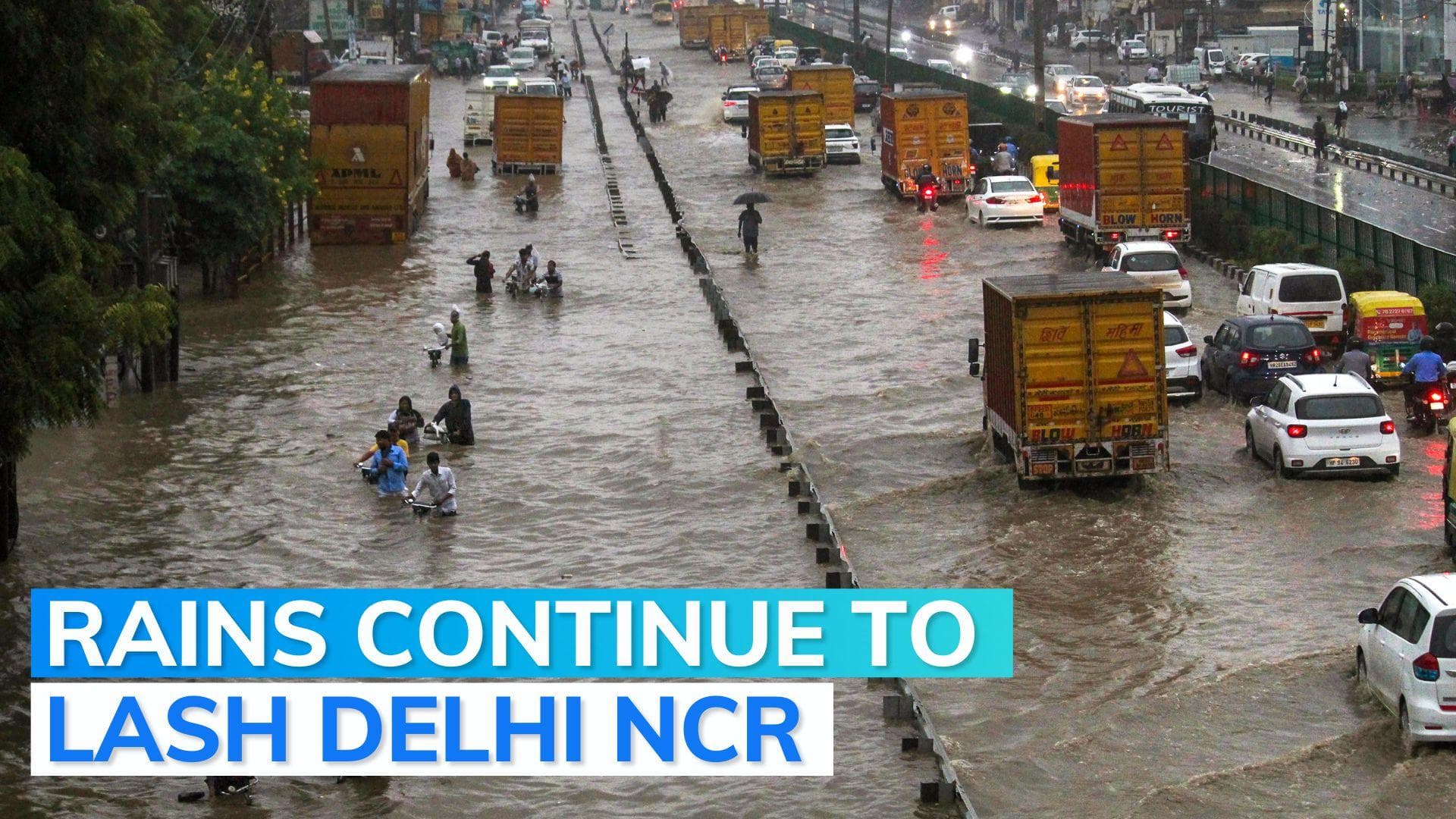 Schools closed in Noida, work from home in Gurgaon as rain lash Delhi NCR overnight