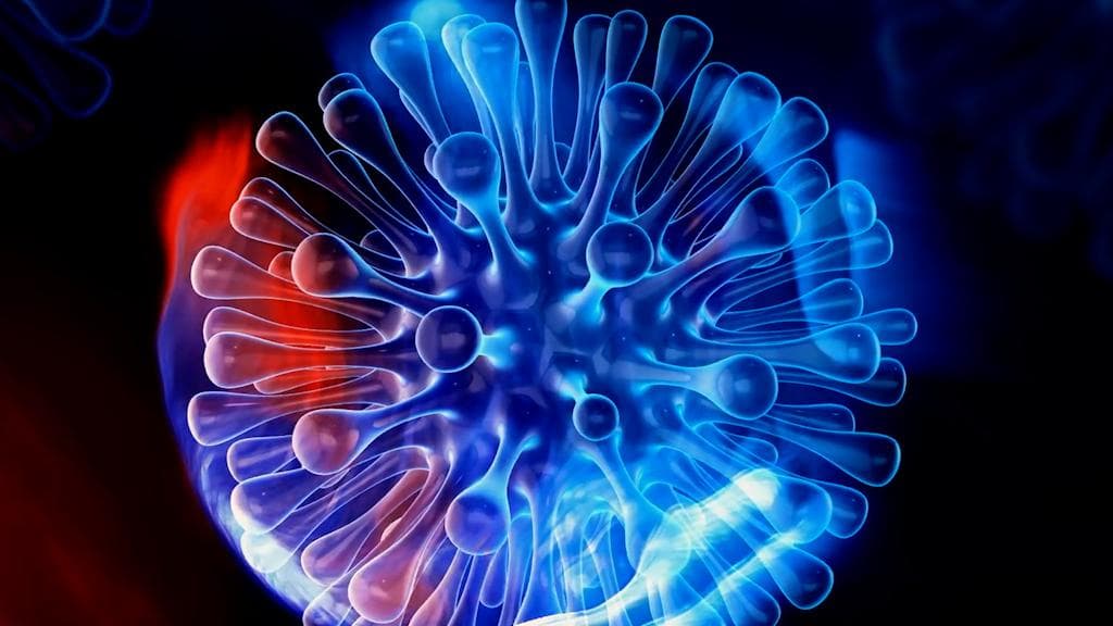 Omicron: ওমিক্রনই কোভিডের শেষ প্রজাতি নয়, সতর্ক করল বিশ্ব স্বাস্থ্য সংস্থা