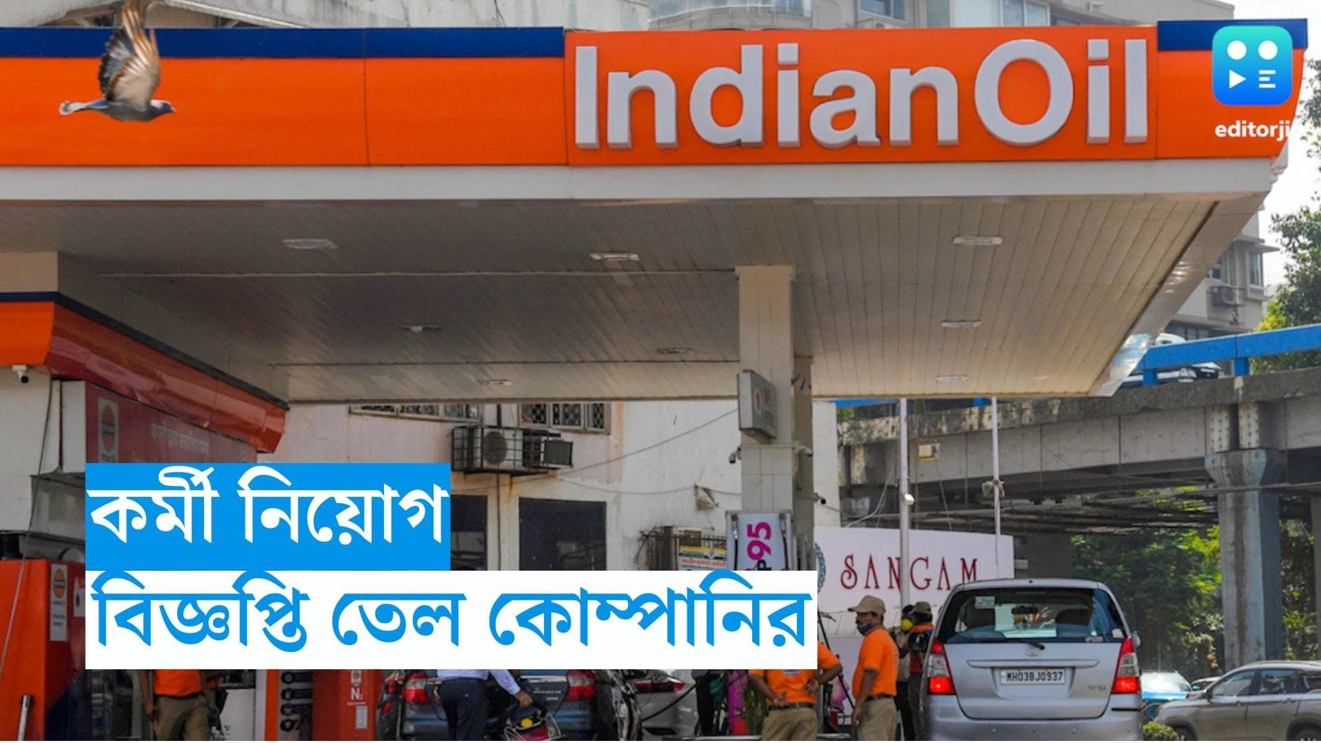 Indian Oil Apprentice Recruitment: ১৭২০টি পদে নিয়োগ করে ইন্ডিয়ান অয়েল, কারা আবেদনের যোগ্য? জানুন