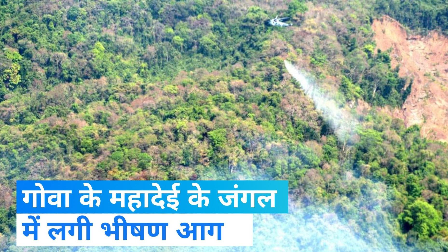 Goa News: धधक रहा है गोवा का महादेई जंगल, आग को बुझाने में जुटे नौसेना के हेलीकॉप्टर 