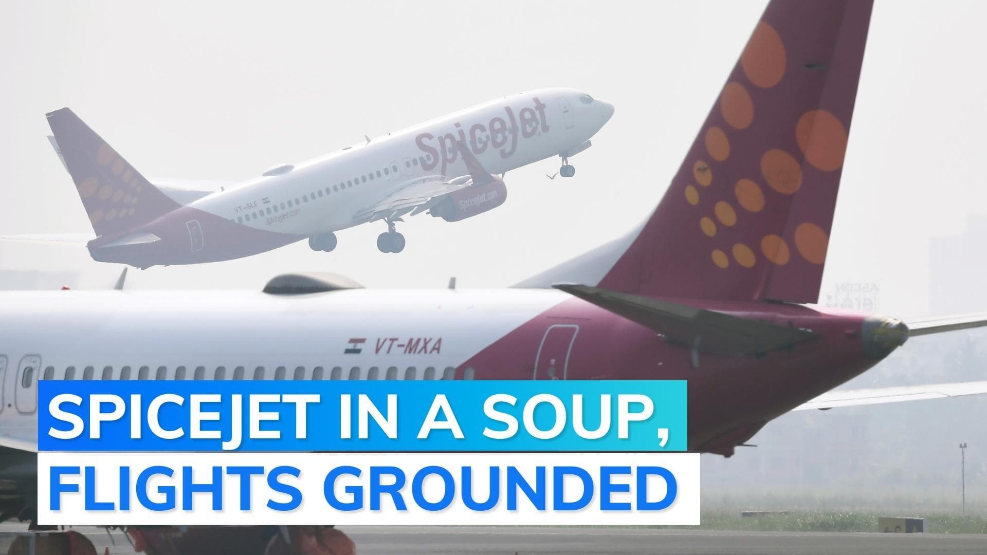 SpiceJet penalised: DGCA orders 50% flights to be grounded for 8 weeks