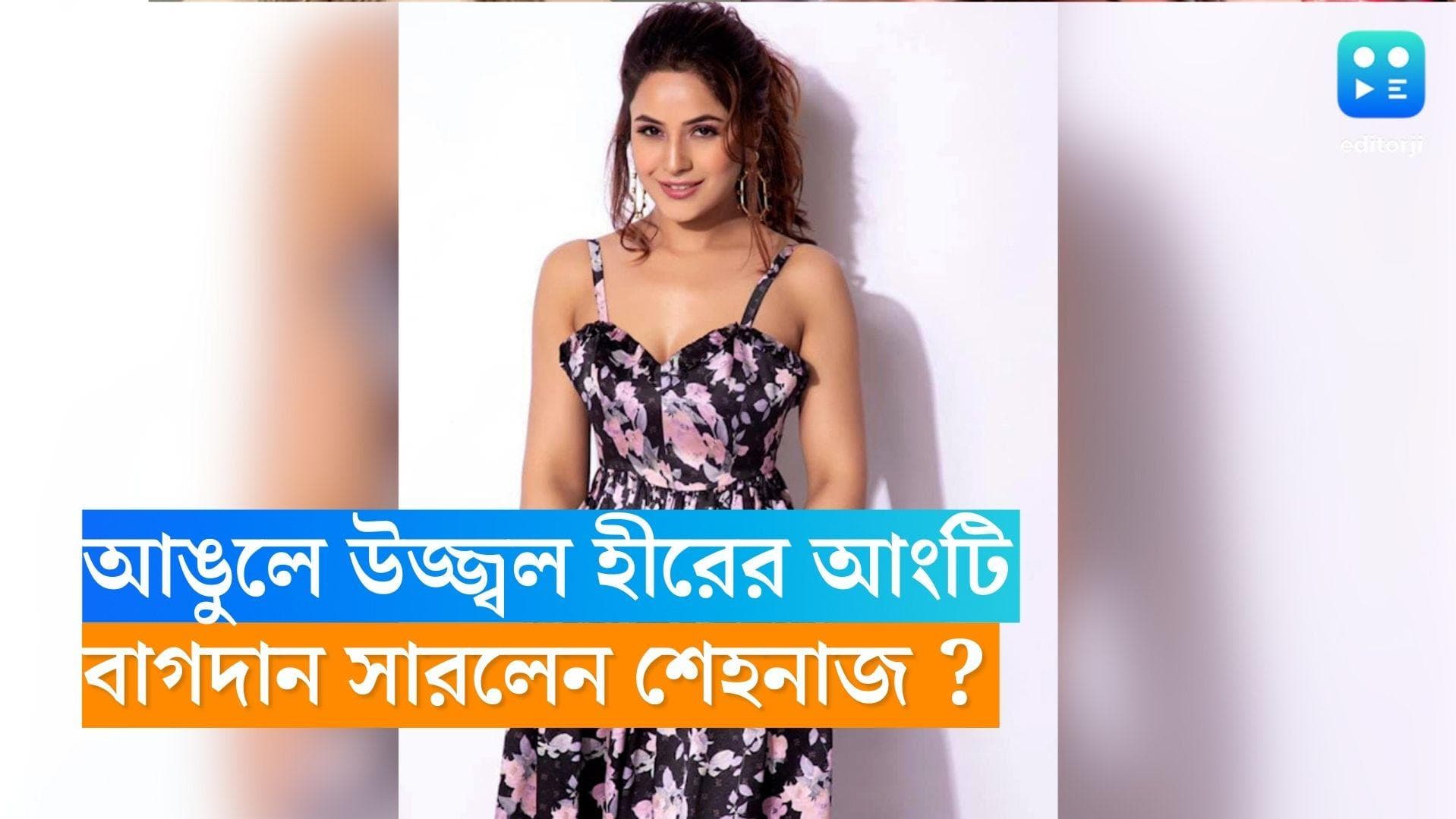 Shehnaaz Gill Engagement: আঙুলে উজ্জ্বল হীরের আংটি, বাগদান সারলেন শেহনাজ ? 