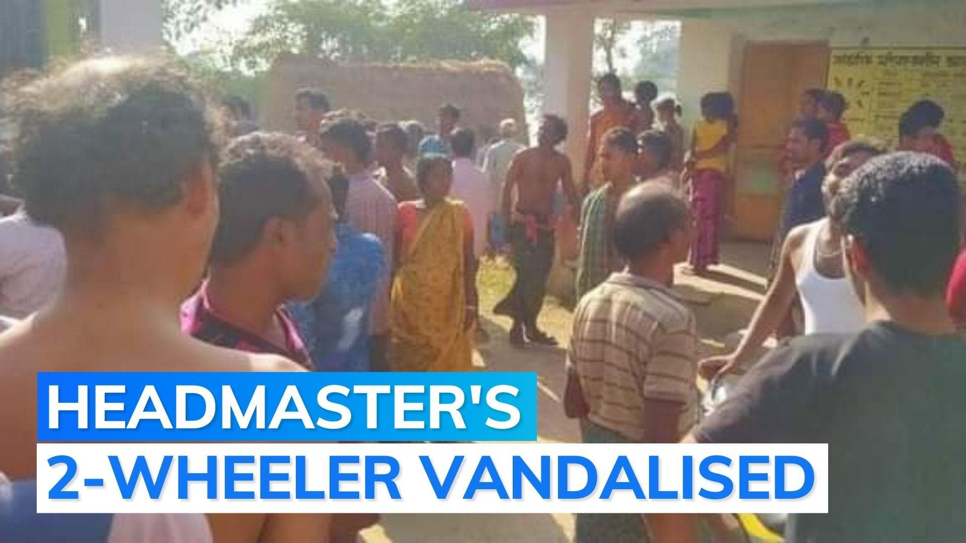 Bengal: snake in school mid-day meal; students fall sick, rushed to hospital, says report