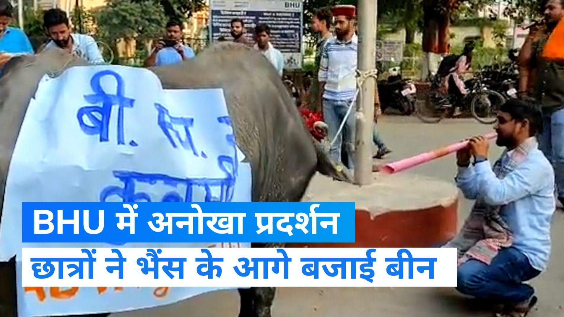 BHU Protest: छात्रों ने बीन बजाकर किया अनोखा प्रदर्शन, फीस बढ़ोतरी को लेकर छात्रों ने जताया विरोध