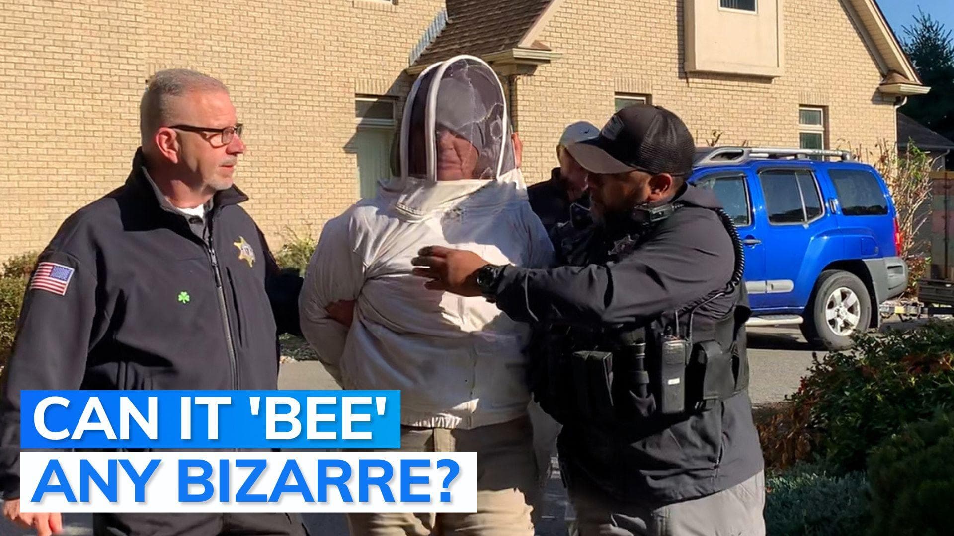 Watch: US woman sets a swarm of bees on police to avoid eviction