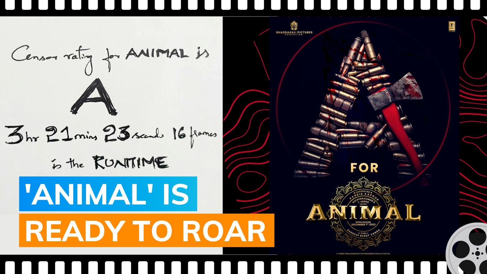 ‘Animal’: CBFC awards 'A' certificate to Ranbir Kapoor and Rashmika Mandanna's movie, reveals runtime