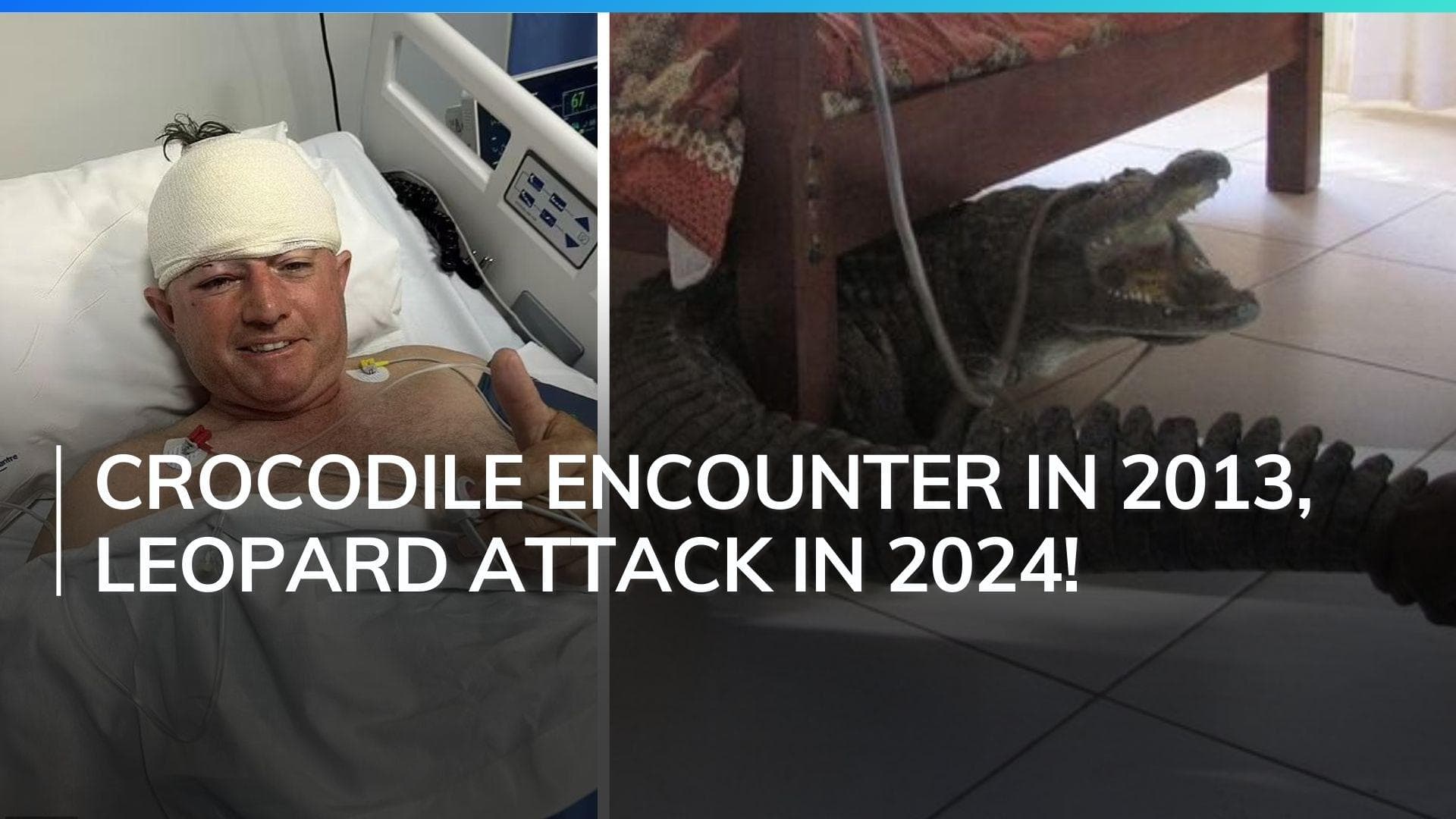 Guy Whittall: Former Zimbabwe cricketer survives leopard attack, a decade after crocodile encounter