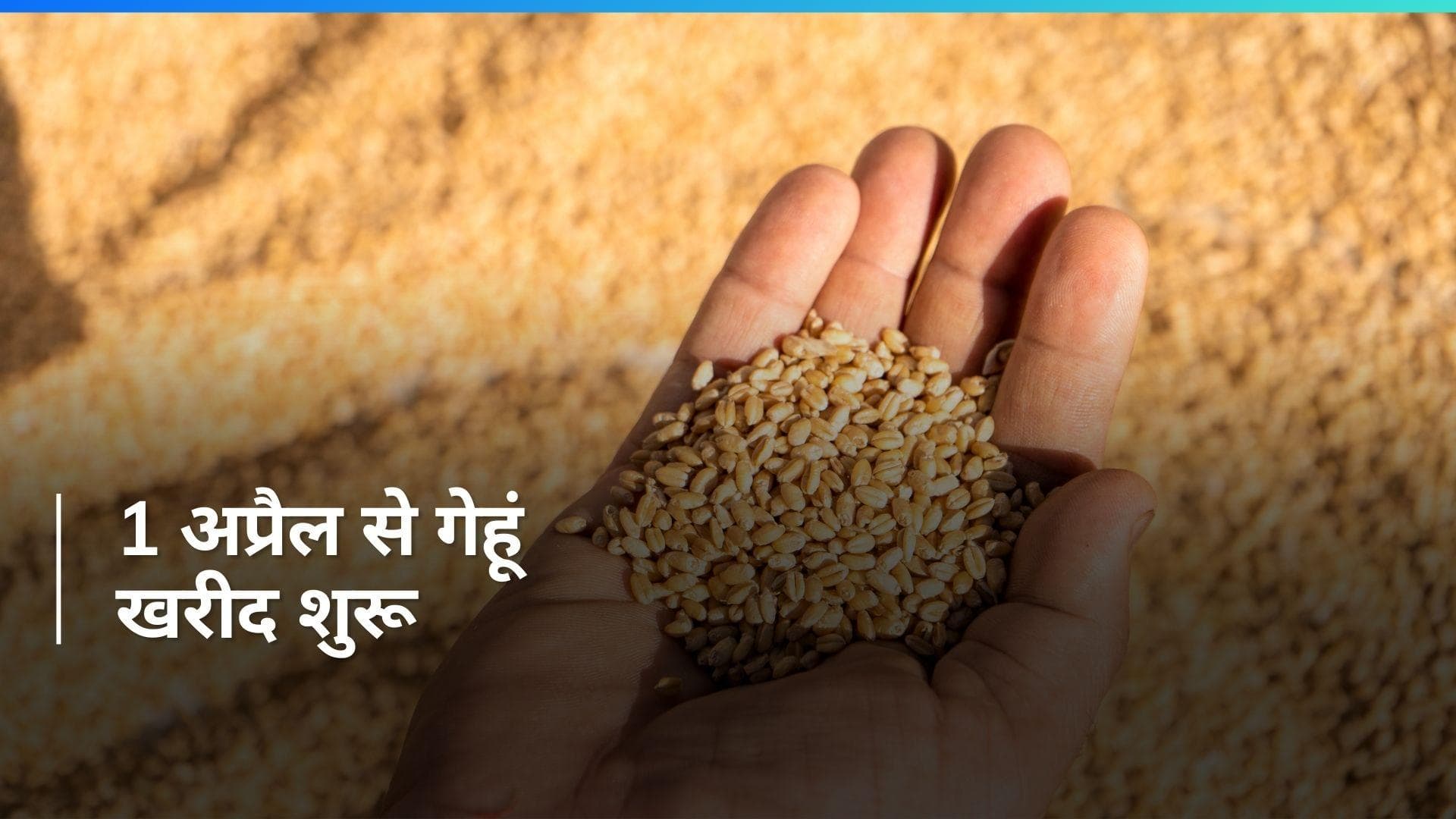 Punjab: 1 अप्रैल से गेहूं की सरकारी खरीद के लिए सारी व्यवस्थाएं दुरुस्त- मुख्य सचिव