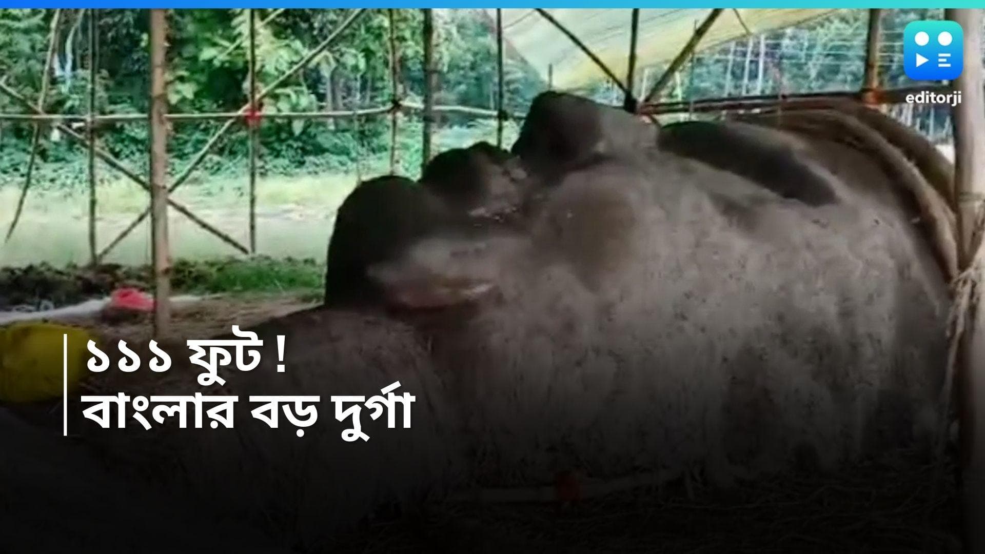 Durga Puja 2024: বাংলার সবথেকে বড় প্রতিমা, রানাঘাটে তৈরি হচ্ছে ১১১ ফুটের দুর্গা