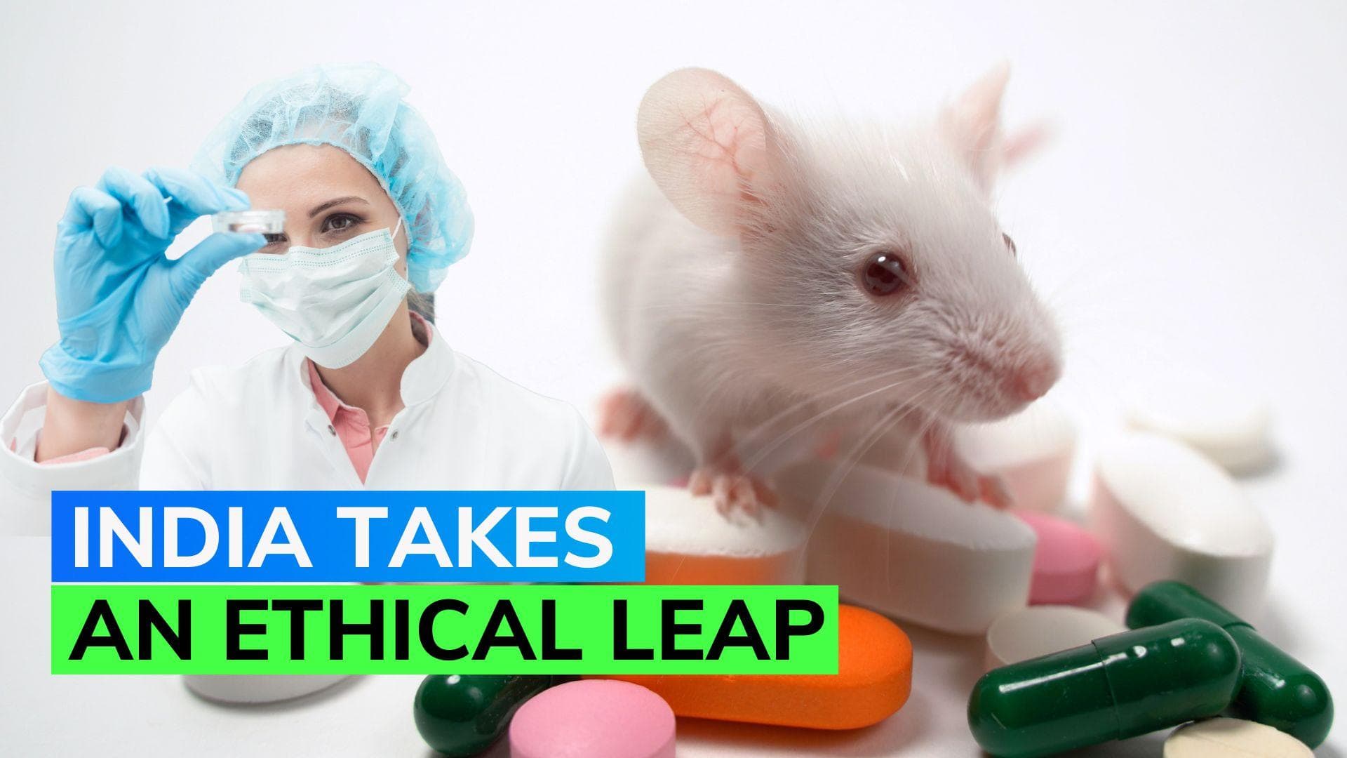 India passes amendment to remove animals from drug-trials