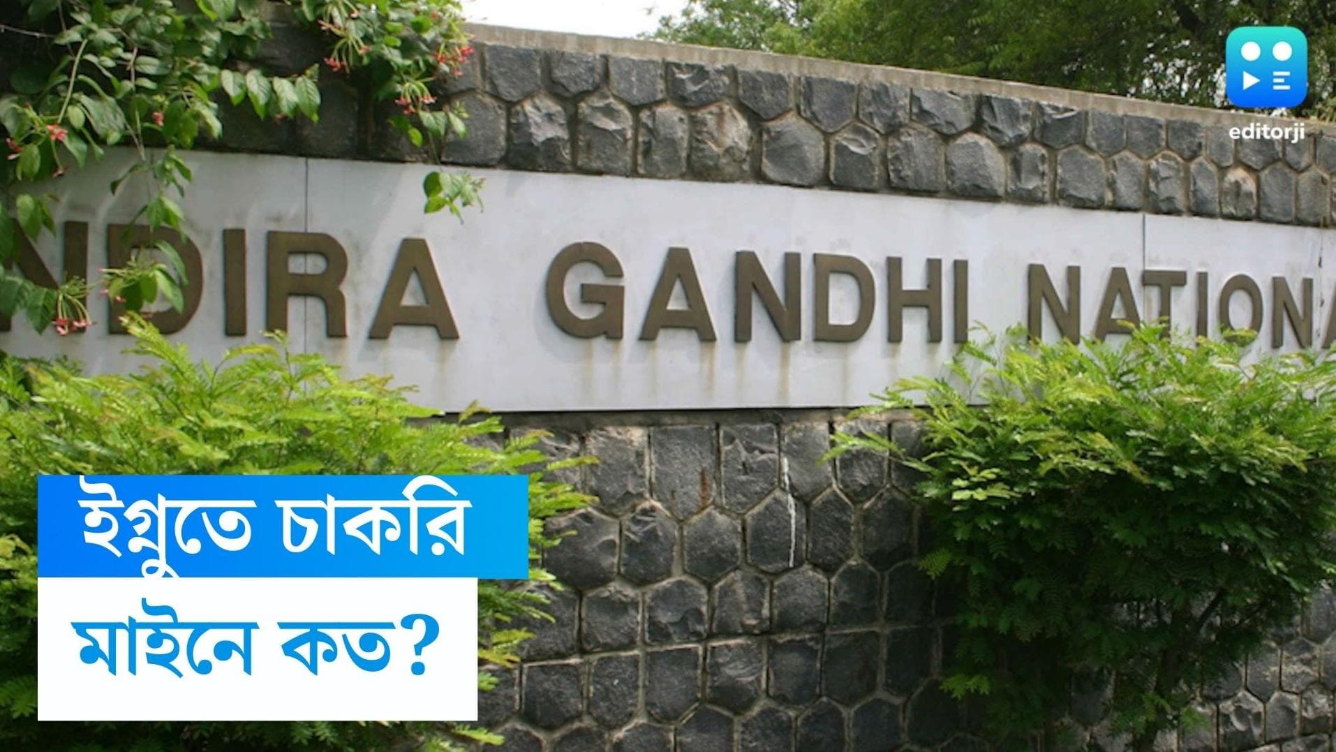 IGNOU Recruitment: উচ্চমাধ্যমিক পাশেই ইগ্নুতে চাকরির সুযোগ, কীভাবে আবেদন করবেন, জানুন