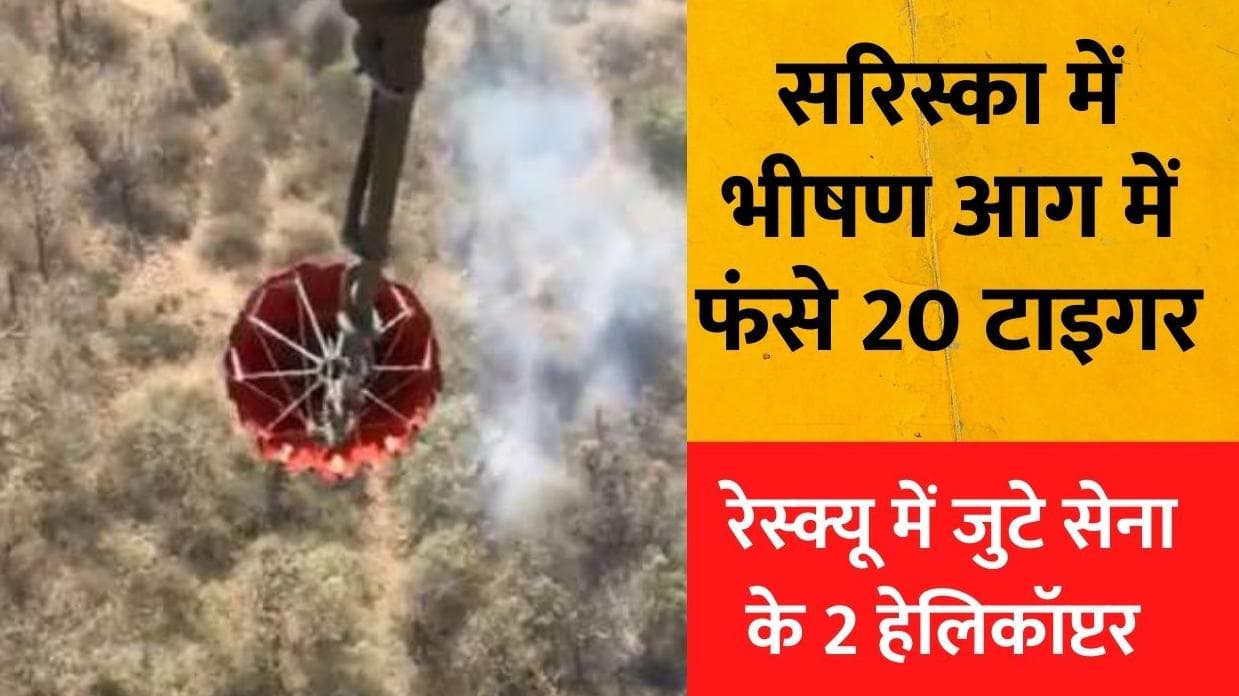 Sariska Tiger Reserve Fire: सरिस्का के जंगल में लगी भीषण आग, 20 टाइगर फंसे-VIDEO