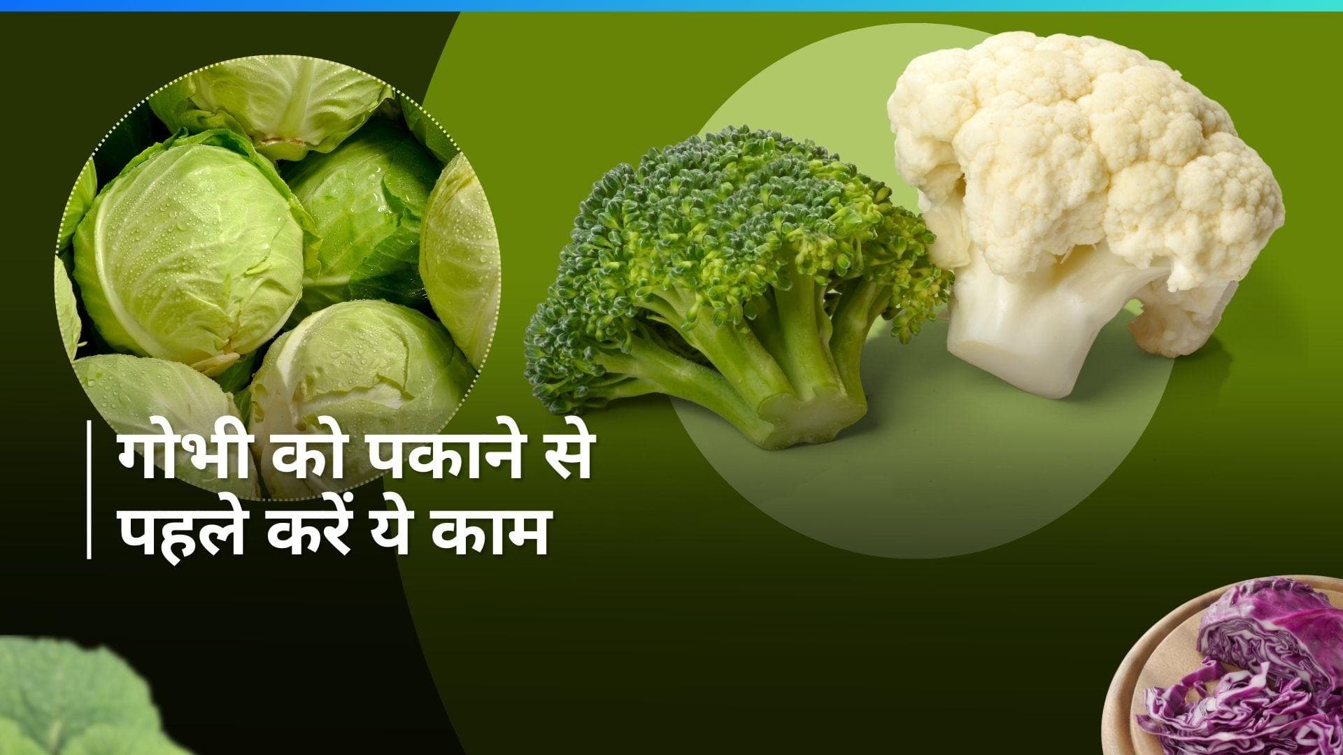 Cruciferous Vegetables: गोभी जैसी सब्जियों में छिपे हैं सीक्रेट गुण, जानिए कैसे मिलेंगे सभी लाभ
