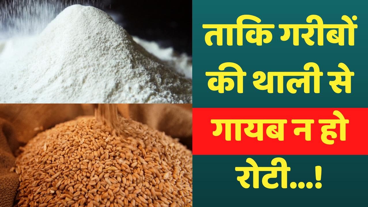 Wheat Export: भारत में गेहूं के निर्यात पर लगी रोक, दुनिया में बढ़ती कीमतों के बाद फैसला 