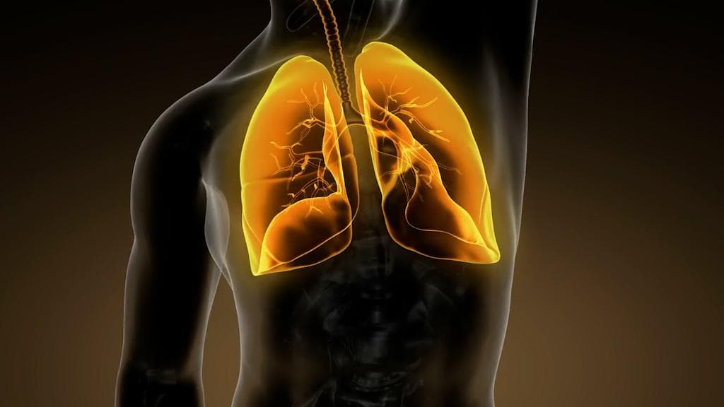 Lung Cancer awareness month: ধূমপান, না দূষণ ? ফুসফুসের ক্যানসারের পেছনে কে বেশি খলনায়ক? জেনে নিন বিশদে