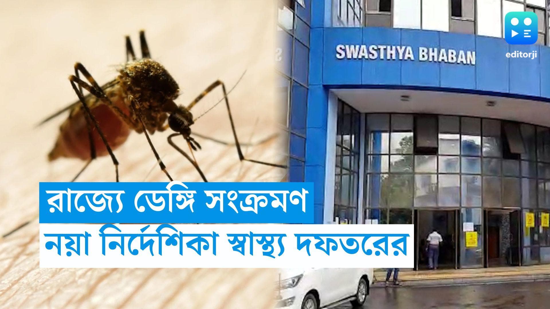 Dengue: ডেঙ্গি রুখতে আরও কড়া পদক্ষেপ স্বাস্থ্য দফতরের, আক্রান্তদের রক্তের নমুনা যাবে নাইসেডে