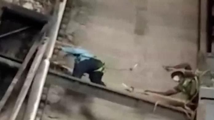 Watch: 50 मीटर ऊंची चिमनी की लिफ्ट में फंसे 2 मजदूरों को CISF जवान ने बचाया, हैरतअंगेज़ वीडियो वायरल