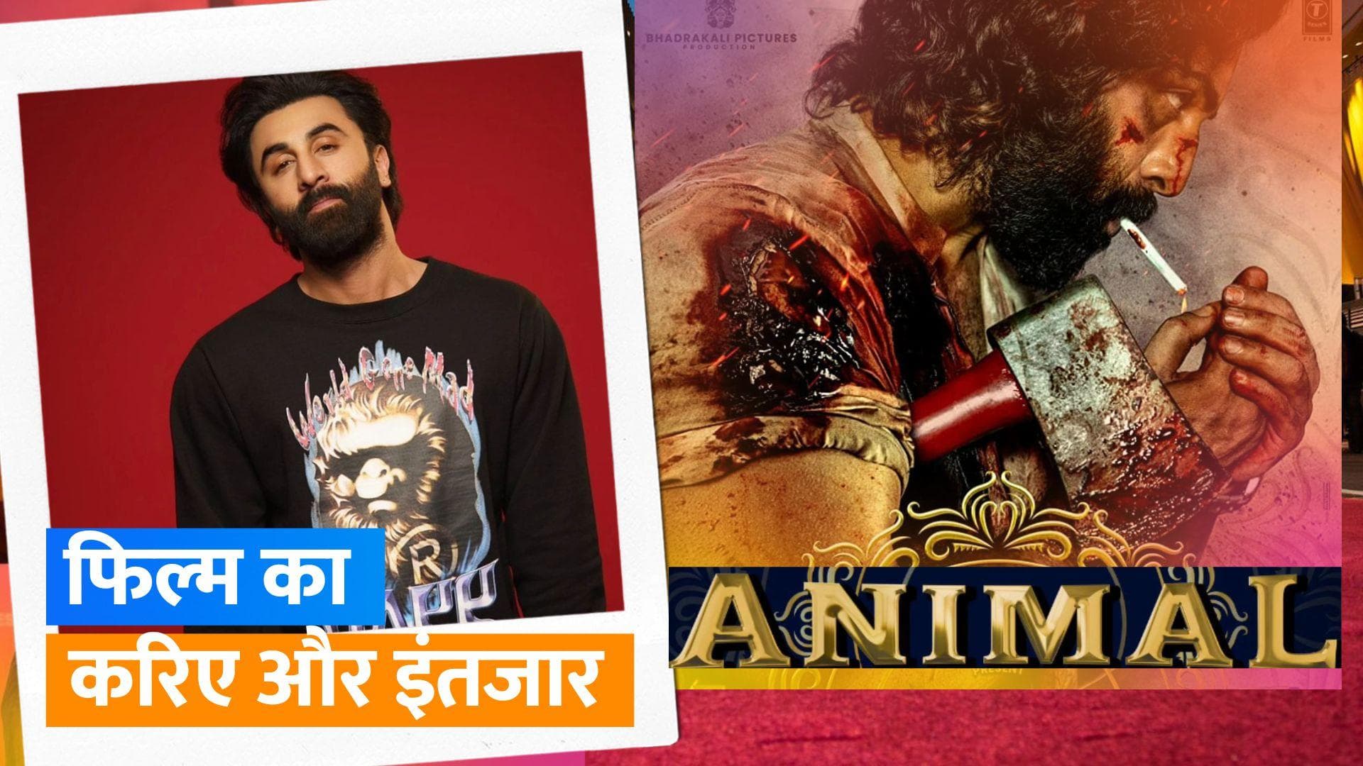 Animal Postpone: फिल्म 'एनिमल' की रिलीज डेट टली, अब इस महीने फिल्म दे सकती है दस्तक 