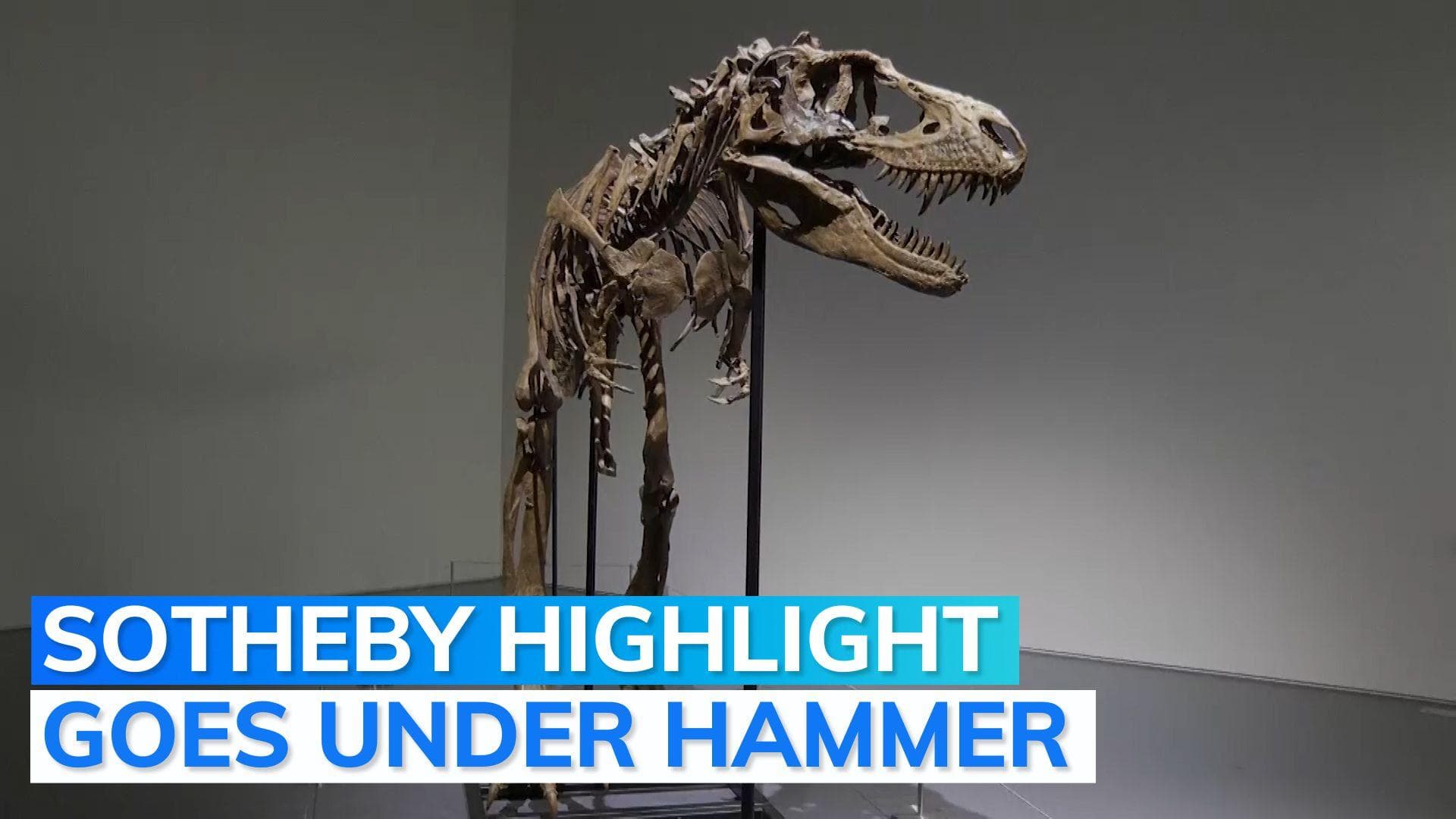 Fossilized dinosaur skeleton sells for $6.1 million
