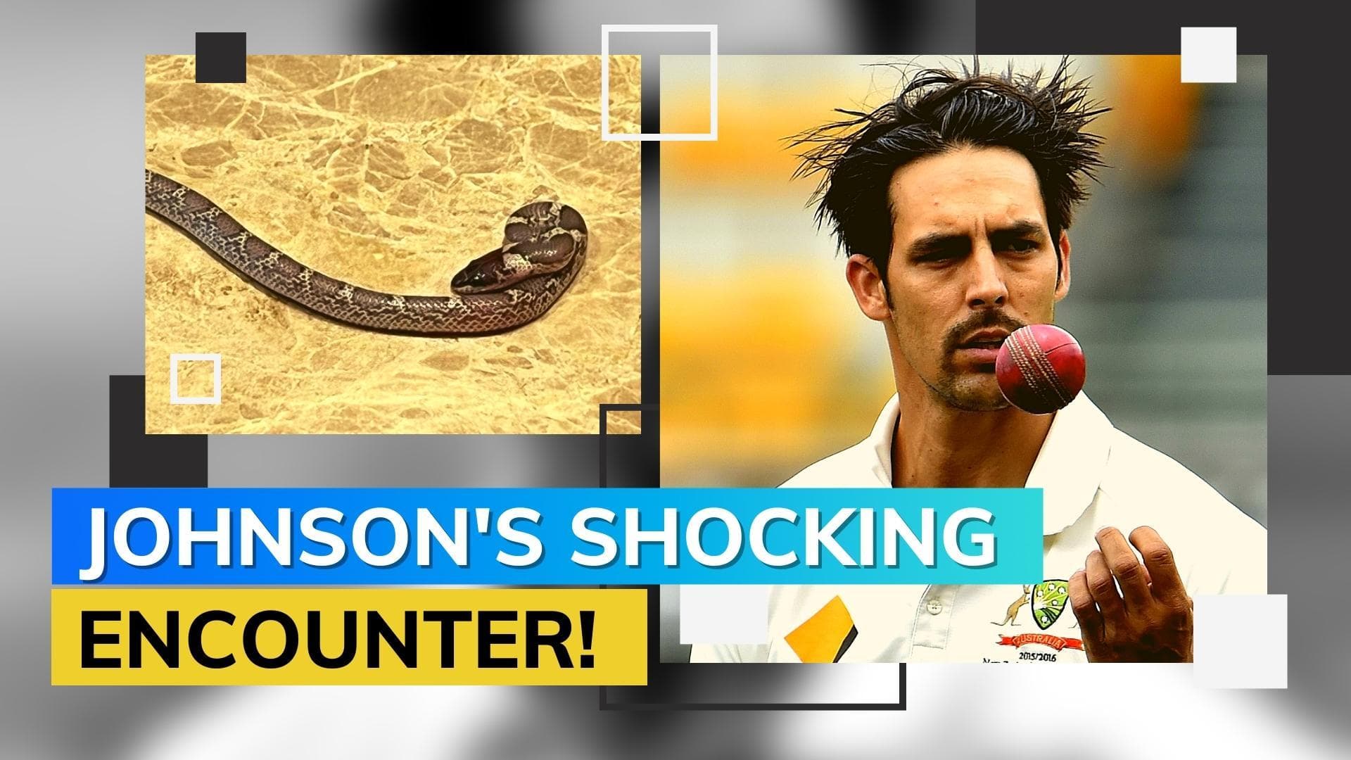 Legends League Cricket: Mitchell Johnson encounters a 'snake' in his hotel room