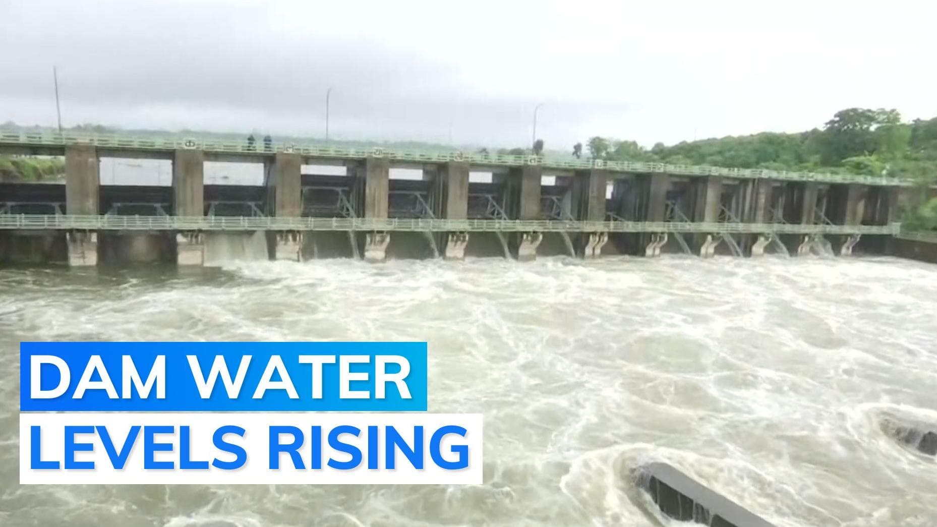Gates of major dams opened due to heavy rains, flood concerns in Madhya Pradesh
