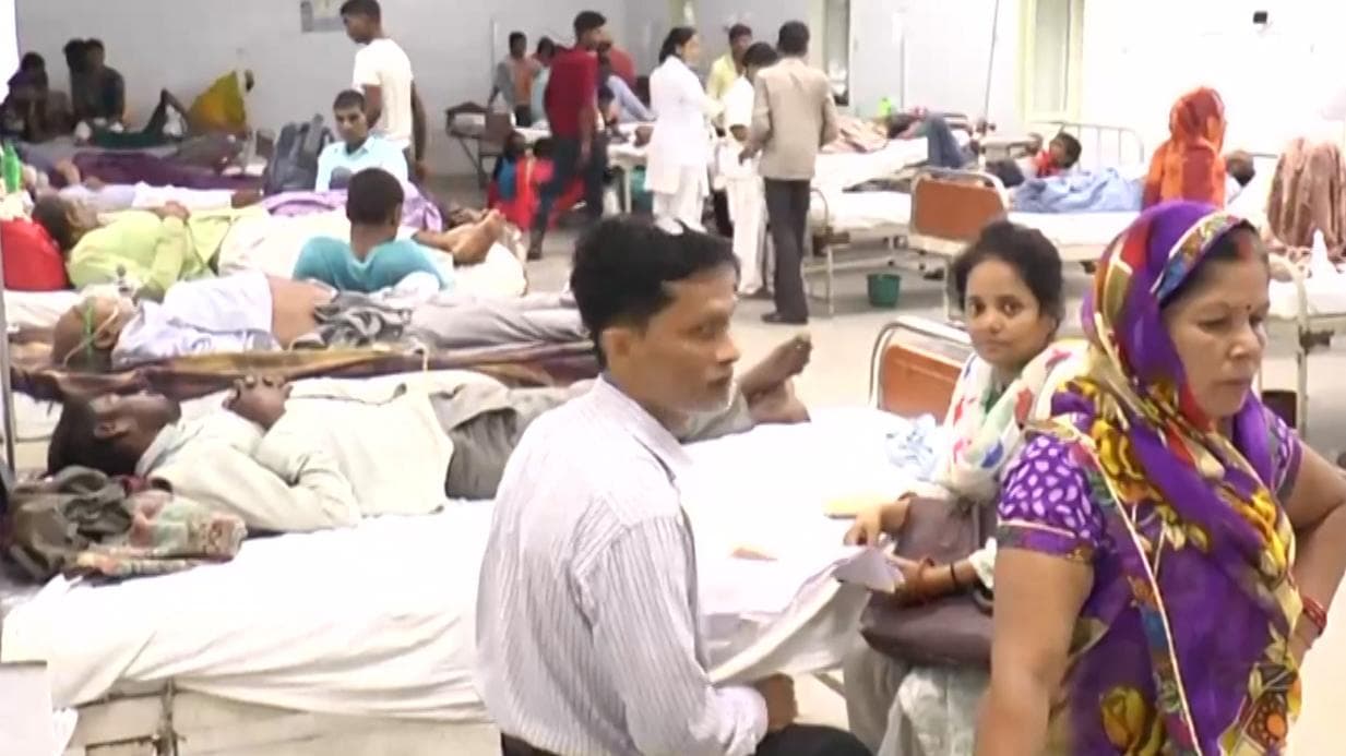 भारतीय वैज्ञानिकों ने किया Dengue की दवा बनाने का दावा, DGCI से मिली ट्रायल की अनुमति