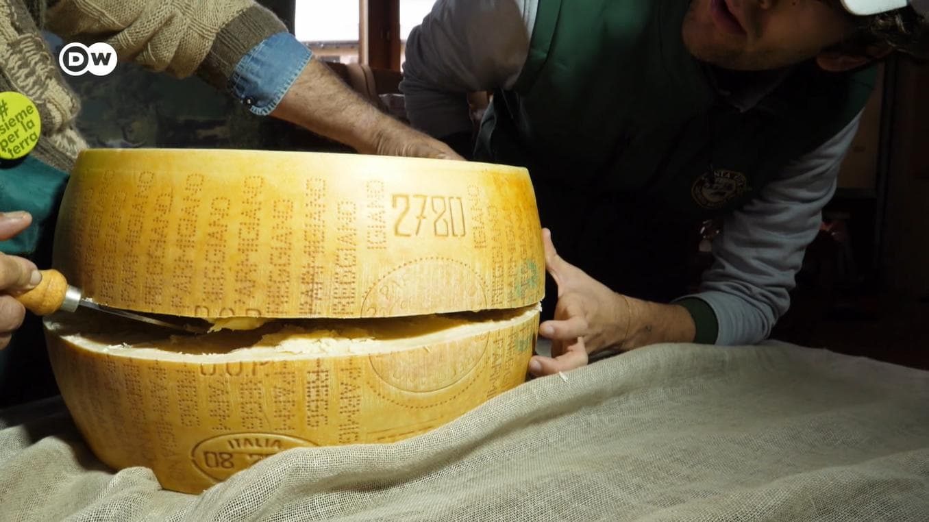 What defines real Parmesan cheese?