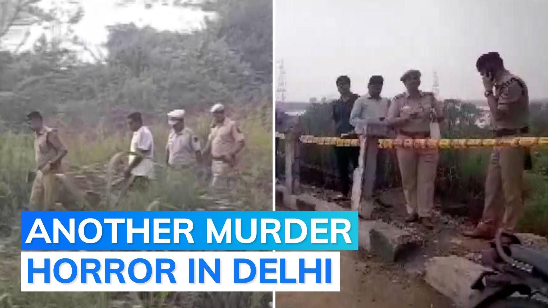 Chopped body parts of woman found scattered near Delhi flyover
